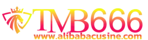 TMB666 เว็บเกมออนไลน์ ครบทุกฟังก์ชัน ตอบรับการใช้งานยุคใหม่